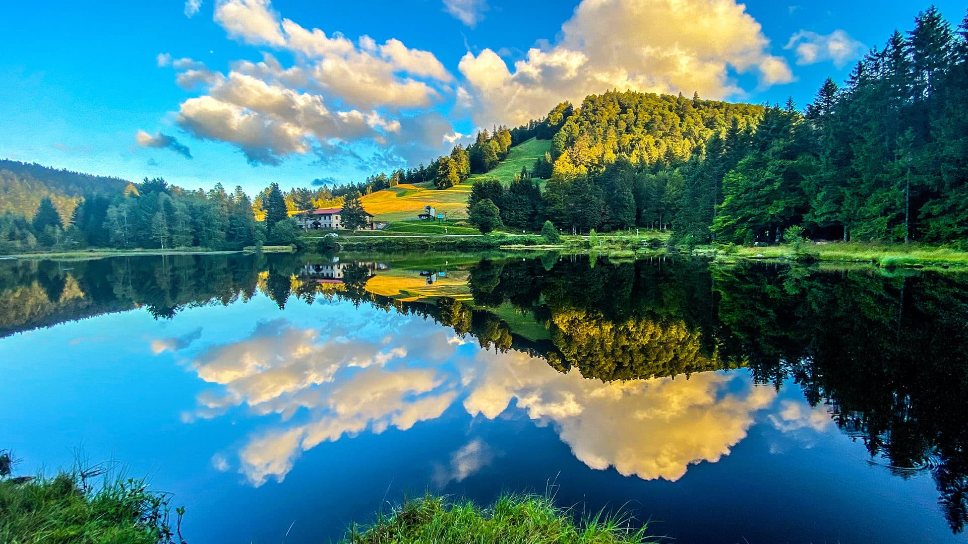 Paysage Vosges FG Création